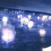 石榴の画像