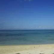 抹茶