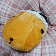 cocoの画像