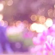 shery✿ご希望価格をお知らせ下さい✿の画像