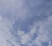 にゃん