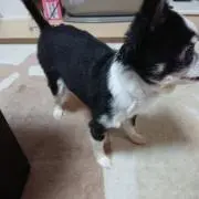 りおの画像