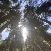 リユースの画像