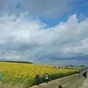 Stinaの画像