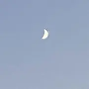 この画像