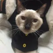 ぴゅあ