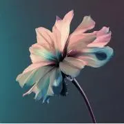 u1 プロフ必読.即購入NGの画像