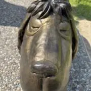 mi⭐︎の画像