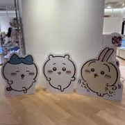 ちいの画像