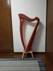 ダンディーハープの画像