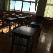けら　基本翌日発送