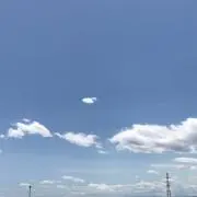 リンティーの画像