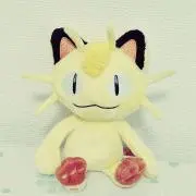 aoiの画像