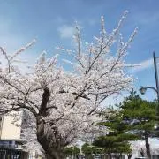 みの画像