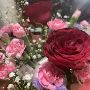 ta プロフお読み下さい…の画像