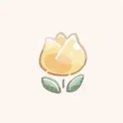 mikan【即購入OK】の画像
