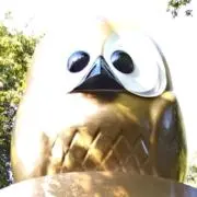 ちょーすけの画像