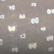 pontaの画像