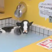 りんの画像