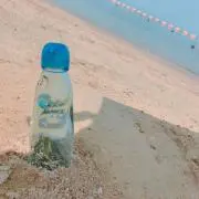 Tの画像