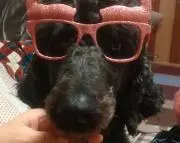 しーちゃんの画像