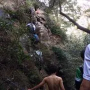 Tの画像