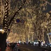 はな