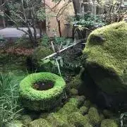 ミルフルの画像
