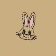 NAOの画像