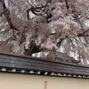 たけやんの画像