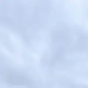 きむ
