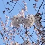 レトレト0504プロフ必読お願い致しますの画像