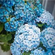 xoxo♡の画像