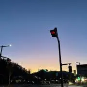 さとうの画像