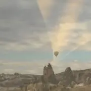 トナの画像