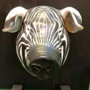 aaarrraaaの画像
