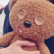 ティムの画像