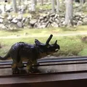 まぁちゃんの画像