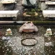あおいの画像