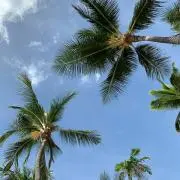キャラメル✴︎の画像