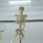 hhhhhhhプロフィ必見の画像