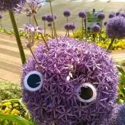 モカの画像