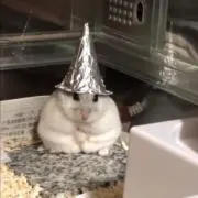 コマの画像