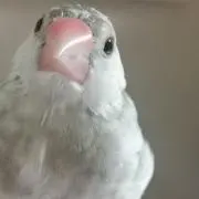 絆の画像