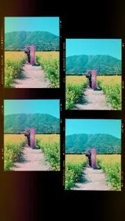 Akaneの画像
