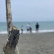 まつもと