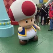 Hinの画像