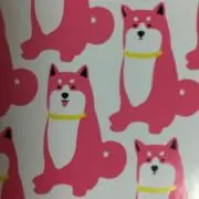 シイの画像