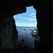 RuRu［配送早］の画像