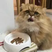ちか